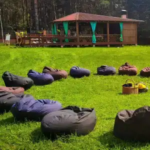 Лесной Эдем - 31