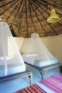 Papaya Playa Project - 5