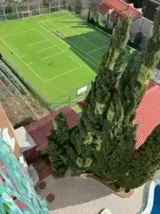 Климентина - 10