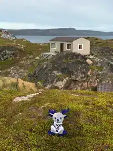 Гармония Севера - 15