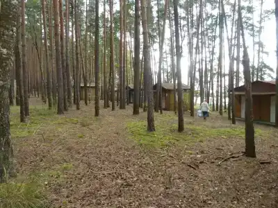 Кристалл - 25
