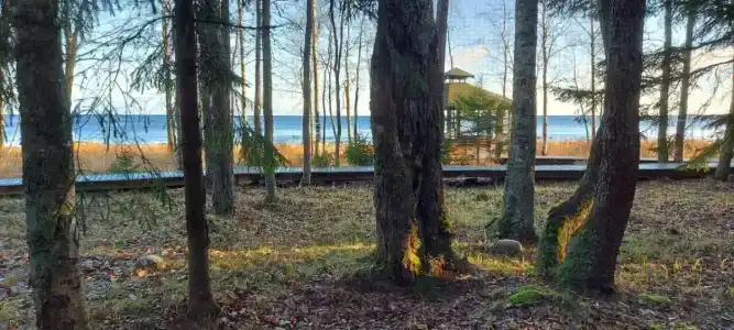 Самая Ладога - 94