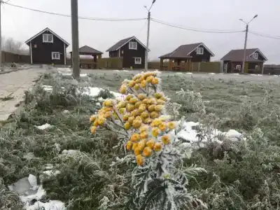 Гремячево - 10