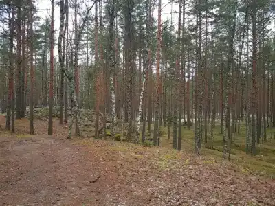 База Сокол, озеро Глубокое - 89