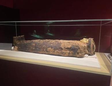 Bel Air Azur Resort (Adults Only) - 69