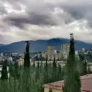 Магнолия - 8