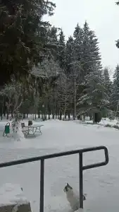 Кристалл - 86