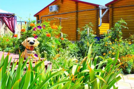 Простоквашино на Азове - 35