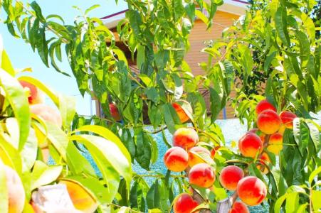 Простоквашино на Азове - 14