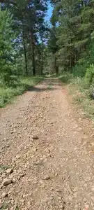 Зеленый Мыс - 66