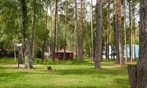 Дзержинец - 31