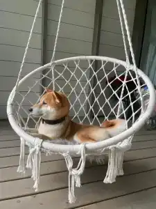 Вазуза Кантри Клаб - 38