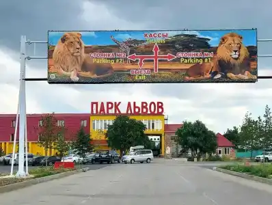 Сафари - 13