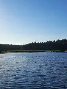 Кылдысин - 36
