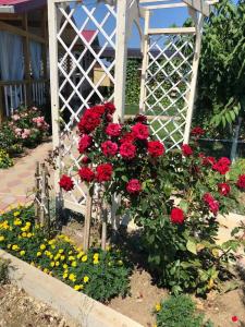 Простоквашино на Азове - 86