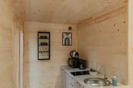 Сосны. Пространствие - 48