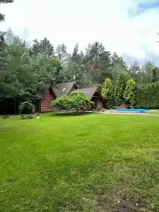 Лесная поляна - 17