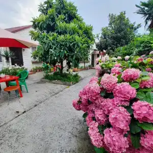 Усадьба Пантелея - 22