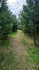 Лестория - 11