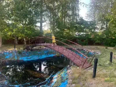 Багатель - 18