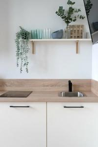 Смарт-студия Зелёная с балконом - 7