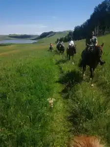 Пай-Тыт - 15