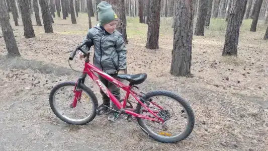 Ясная Поляна - 22
