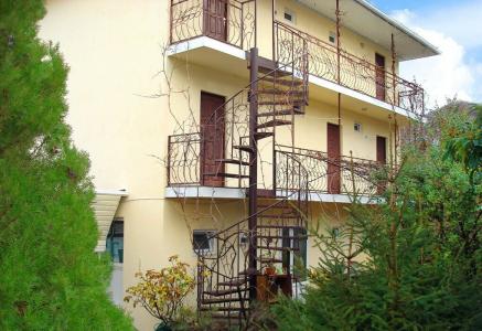 Пальмира - 97