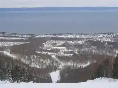 Береза - 6