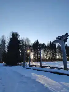 Живица - 15