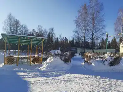Зелёный остров - 81