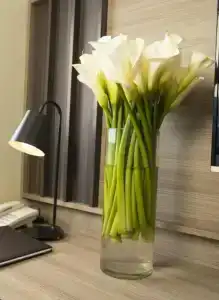 Areca Nha Trang - 47