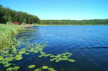Садху - 19