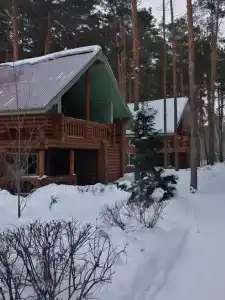 Разгуляево - 83