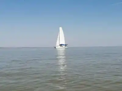 Меотида - 8