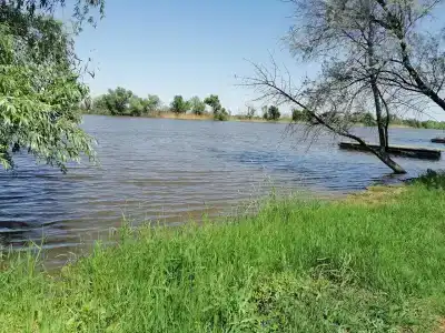Заманиха - 36