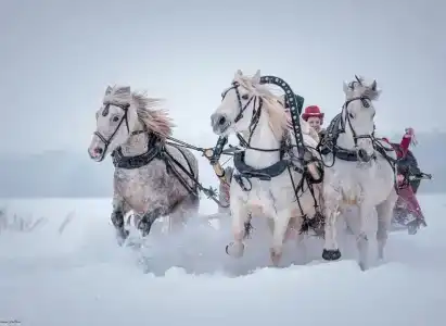 Баллада - 25