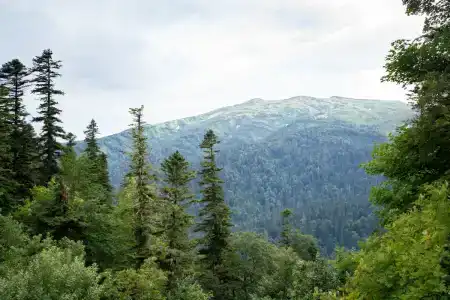 Горный воздух - 26