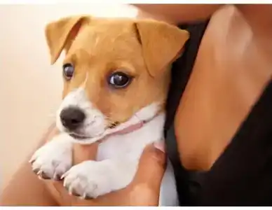 База отдыха Рюттю - 36