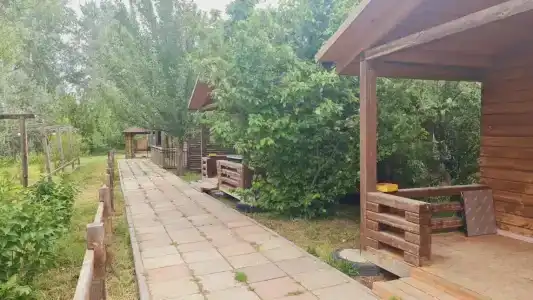 Розовый Фламинго - 11