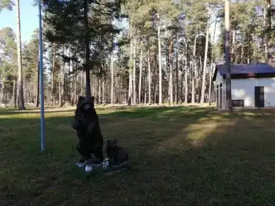 Славянка - 81