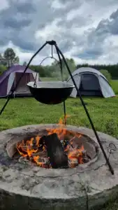 Лесной Эдем - 98