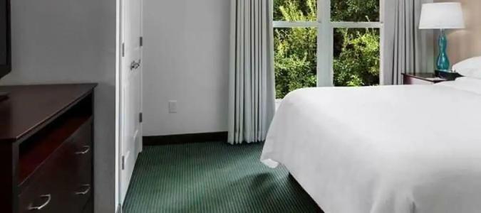 Embassy Suites by Hilton- Lake Buena Vista Resort - 51