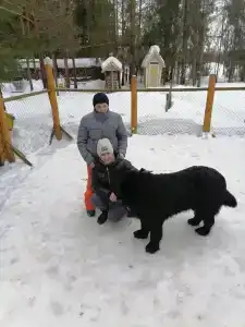 Высоковское - 61