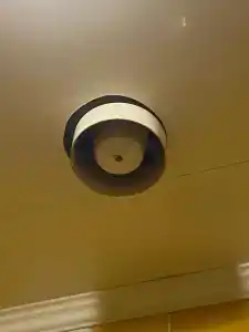 Бест - 31