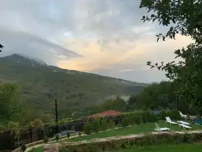 Лесной кордон - 95