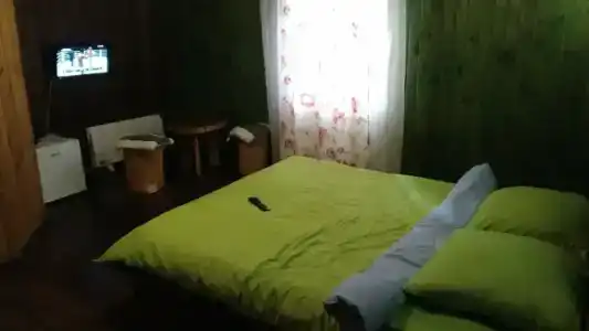 Сосновый бор - 28