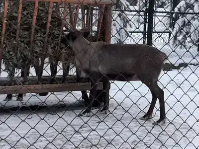 На Вотчине - 55