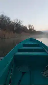 Затишье - 32