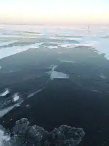 Причал - 48